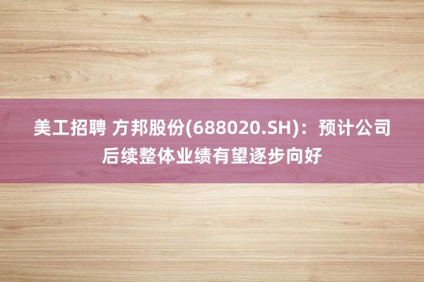 美工招聘 方邦股份(688020.SH)：预计公司后续整体业绩有望逐步向好